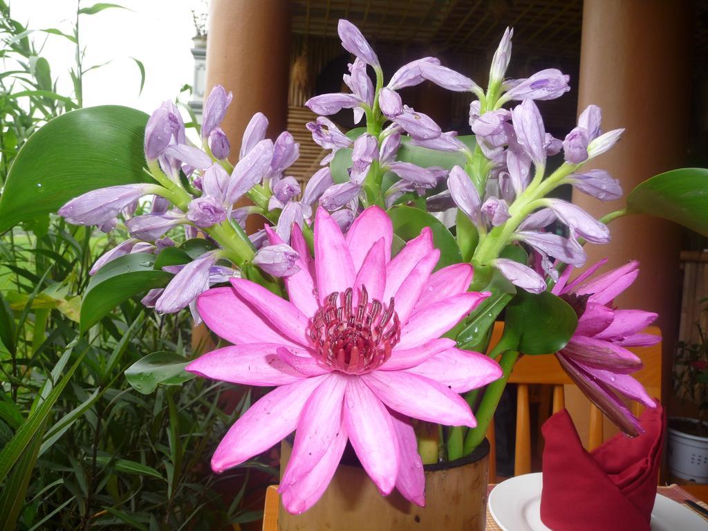 Hòa Bình Mai Chau Valley View Hotel מראה חיצוני תמונה
