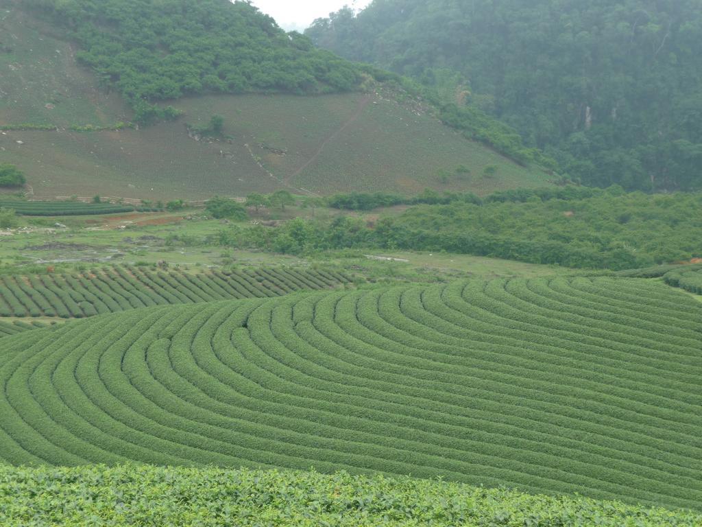 Hòa Bình Mai Chau Valley View Hotel מראה חיצוני תמונה